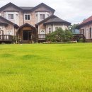 버블버블 이미지