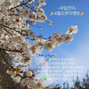 네일진이