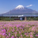 문화와 함께 즐기는 여행 일본어 이미지