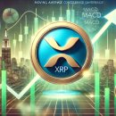 XRP, 3년 만에 최고가…고래와 기관 투자자 신뢰 상승 이미지