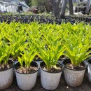 주암동농장 이미지