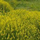 강나루 휴게소 이미지