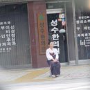 할머니네 티스토리