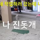 영상실크기획