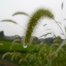 남수농장 이미지