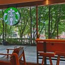 도그싸롱 이미지