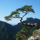 가평소나무팬션 이미지