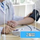 고혈압의 원인과 증상 이미지