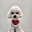 멍데이즈 이미지