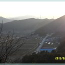 가부촌 Daum카페