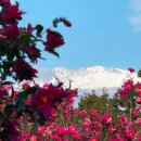 4공단로-34 이미지