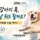 아델동물병원 이미지