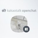 양평특수견 네이버블로그