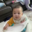 트립안드로메다