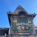 백호게임장 | 겨울 1월 평일 에버랜드 방문기, 겨울방학 가볼만한 곳, 겨울 사파리, 에버랜드 눈썰매장, 에버랜드...