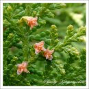 복자여자고등학교 이미지