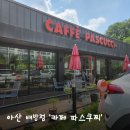 파스쿠찌아산배방점