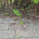 넙뒤공원 이미지