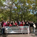 서구치매안심센터(5) 이미지