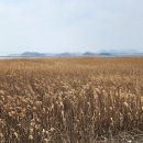 두원마을 이미지