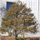 유신환경 노동조합 이미지