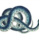 푸른골프아카데미 이미지