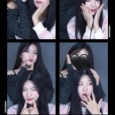 민주댕이 이미지