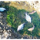 남해향촌 이미지