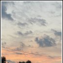 달빛이머무는둥지 이미지