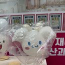 경희대 석사 바른태권도 이미지