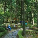 힐링건강랜드 이미지