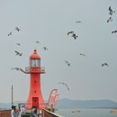 풀향기민박 이미지