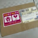 마리엘 반려동물피규어 제작 후기