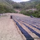 온달농장 이미지