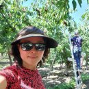 Osoyoos Road Trip _ 2025년 6월 29일 이미지