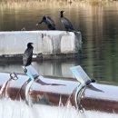 순천큰승주약국 이미지