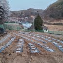 새봄농장 이미지