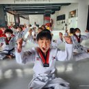 품 태권도장 이미지