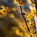 능산농장 이미지