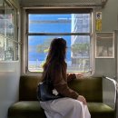 엔젤 타운 | 다카마쓰 여행, 쇼도시마 섬, 야돈페리, 엔젤로드, 올리브 공원, 유메타운 쇼핑