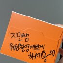 혜원동물병원 | 지나간 나의 일상