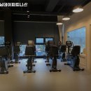 트레이닝데이 피트니스 이미지