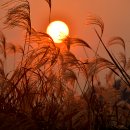 노을바다 이미지