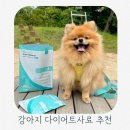 디에스코어