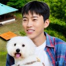 스타뉴스🌟스타왕중왕전 207차(오후3시이후~) 투표해주세요😘 이미지