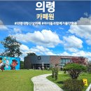 의령 신상 대형 카페, 아이와 가볼만한 카페원