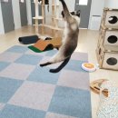 고양이호텔 묘랑묘랑 이미지