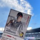 우성매직크리닝 | 아홉번째 야구 얘기 ⚾️ | 기록타이거즈 💗 | 0816-0822