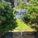 인삼송어장 네이버블로그