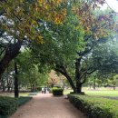 김해수로왕릉 이미지